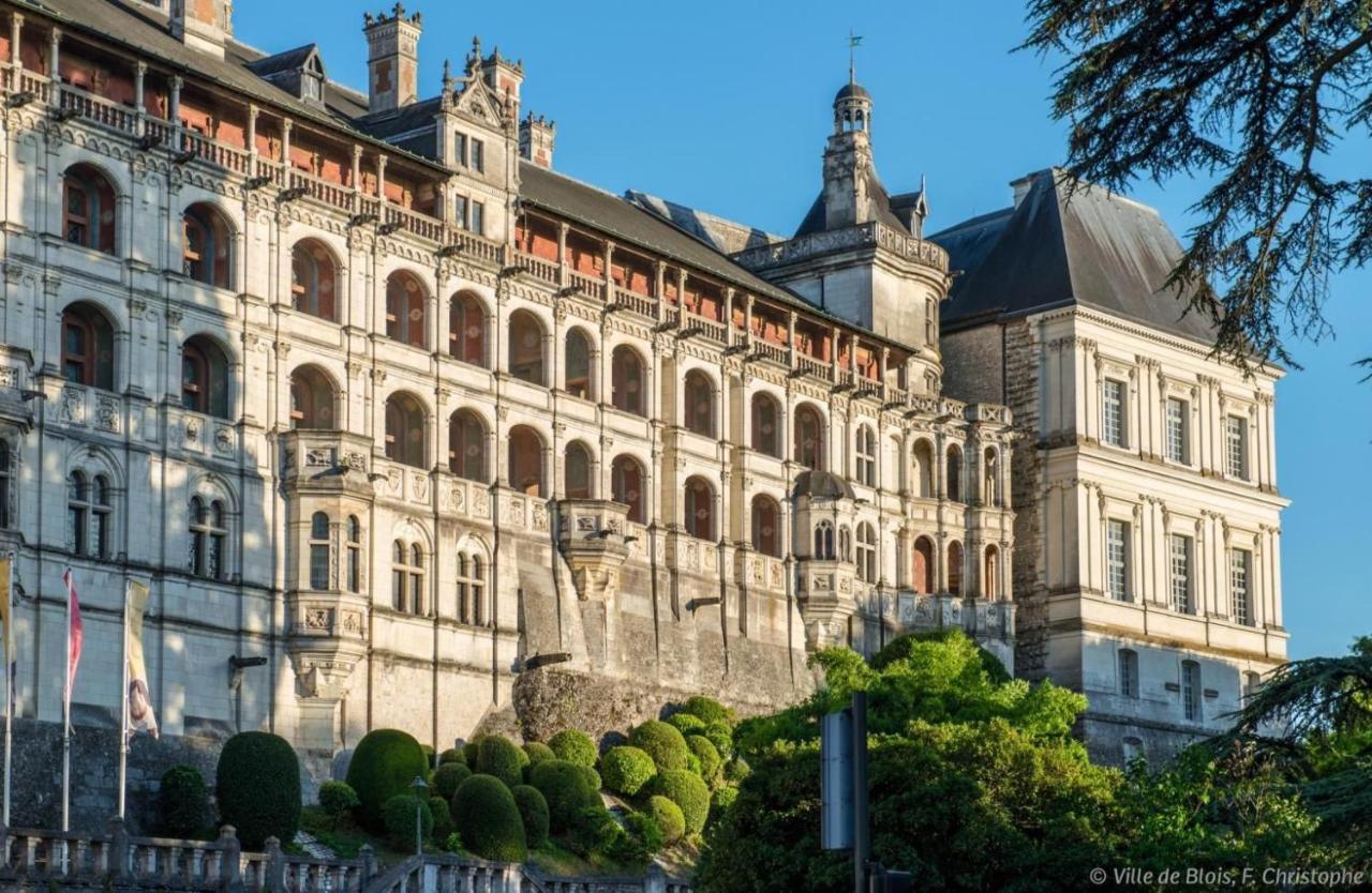 Charmant Appartement Au Coeur De Blois Dış mekan fotoğraf